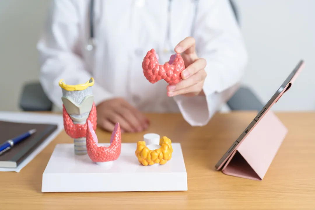 润心科普 | 甲状腺长结节怎么办？一文了解“术后无痕”的微波消融术